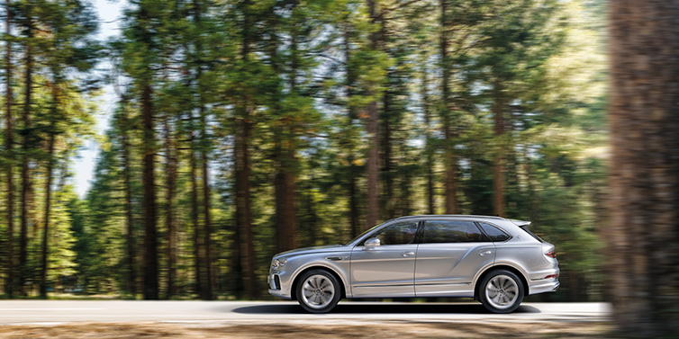 Bentley Hong Kong - DCH Bentley Bentayga Extended Wheelbase SUV in Moonbeam paint driving dynamically on a forest road